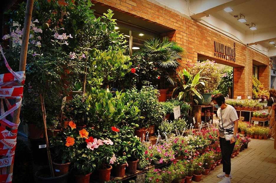 DSC_0015-1.JPG?type=w1