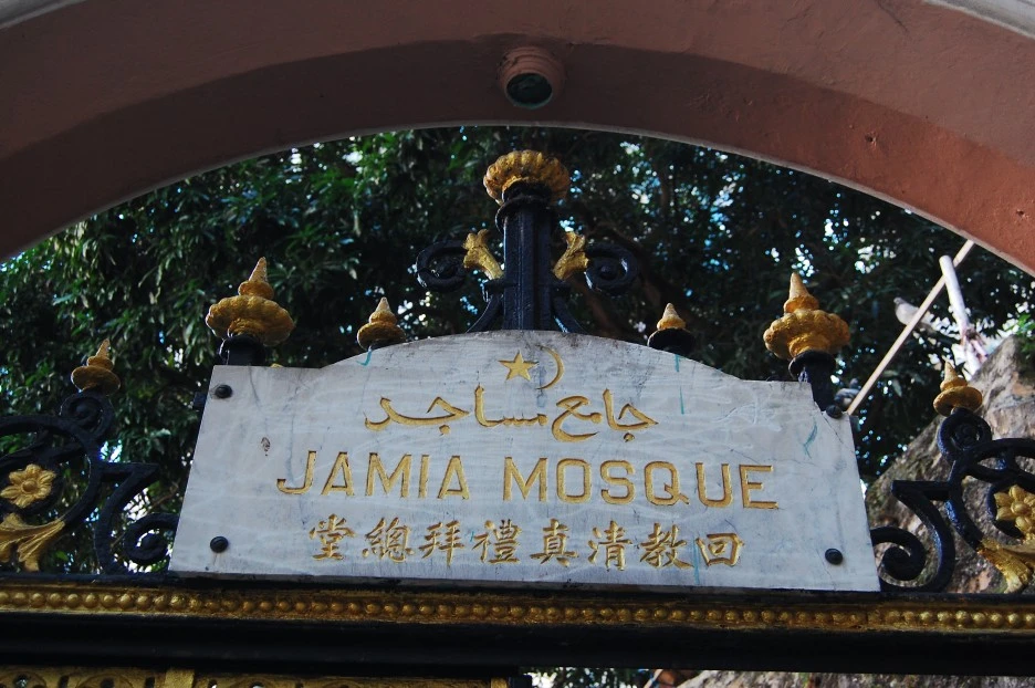 DSC_0062.JPG?type=w1