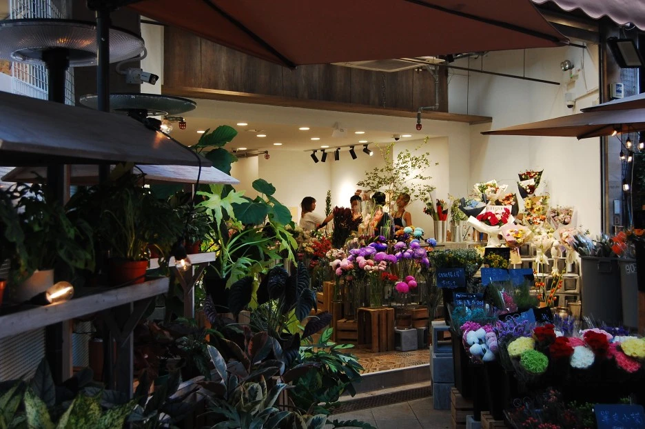 DSC_0009.JPG?type=w1