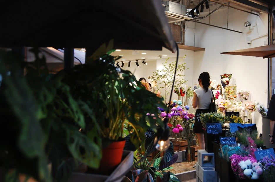 DSC_0010.JPG?type=w1