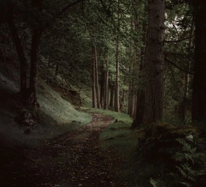 99A425335A0EDD642568E2