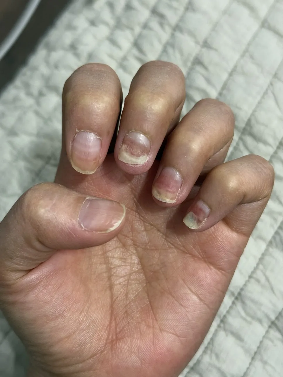 IMG_1851.jpg?type=w966