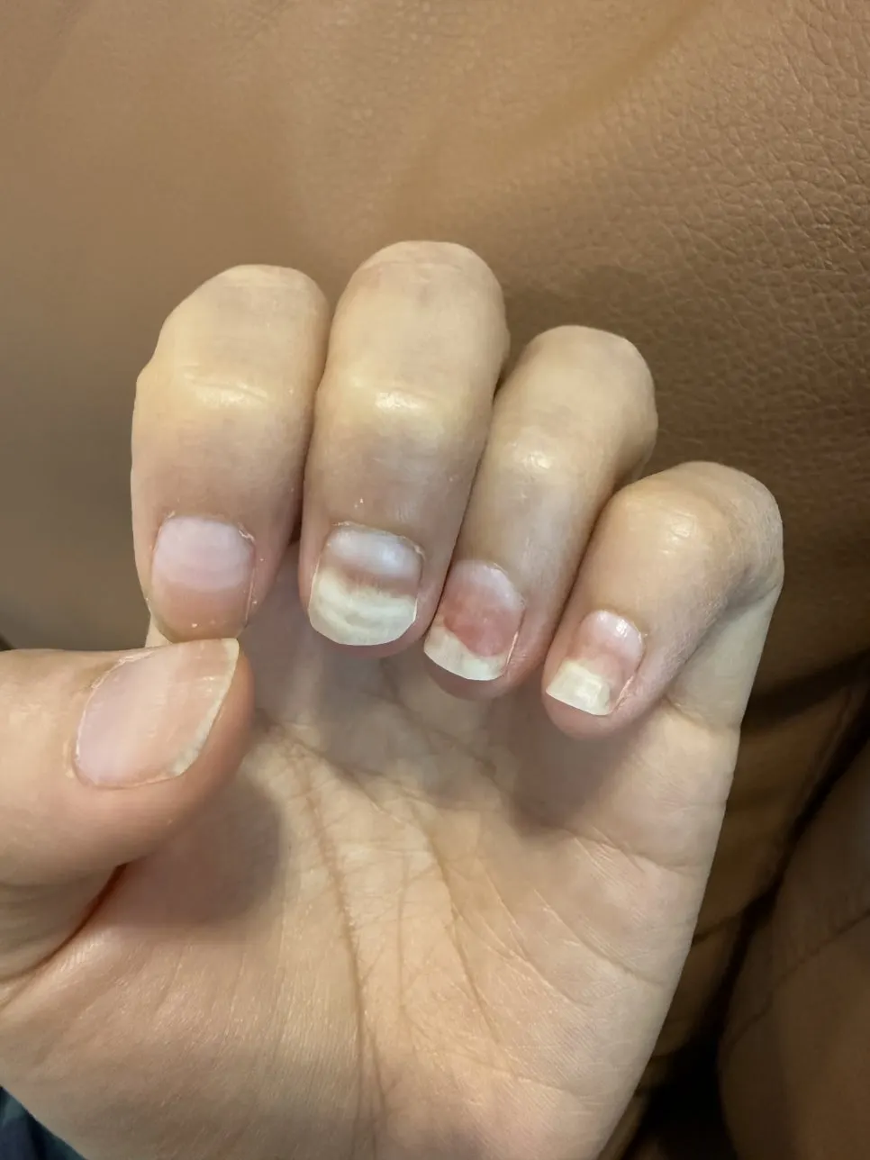 IMG_2639.jpg?type=w966