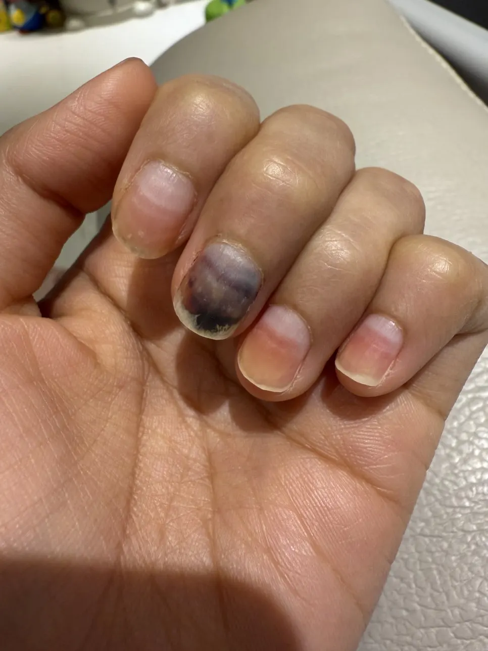 IMG_0909.jpg?type=w966