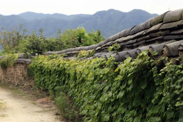 27547E5057CD6A8028736F