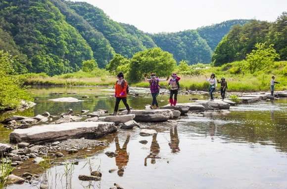 2513DC3357C2FD9B2E3F8C