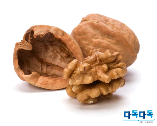 253F524B578499A3026B44