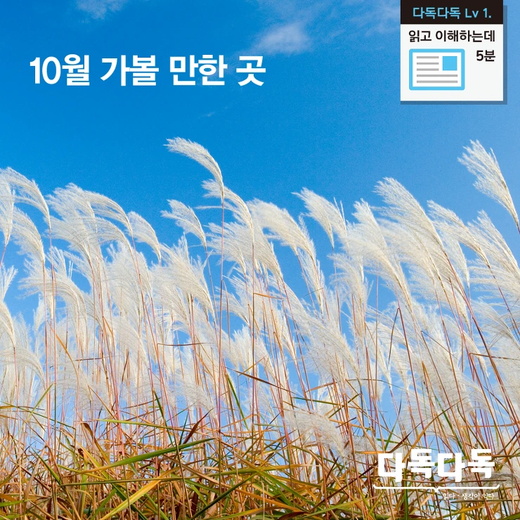 2518BC4357FA8FBE26DF12