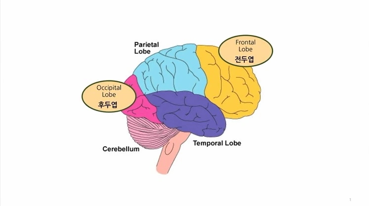 23711D43577EF82E263DA2