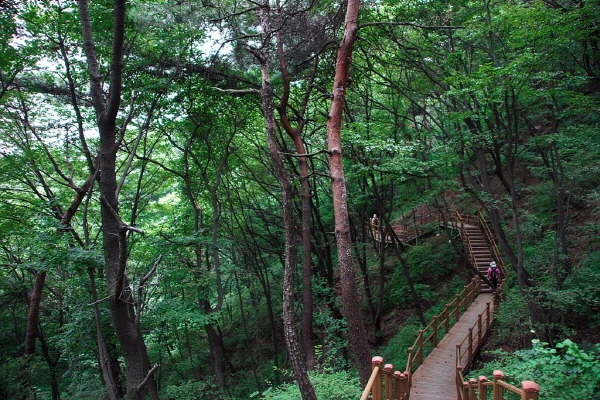 27479B3A582B01C1354F4D