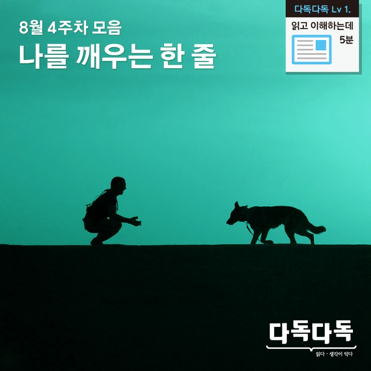 24590B4157BBAE171DF366