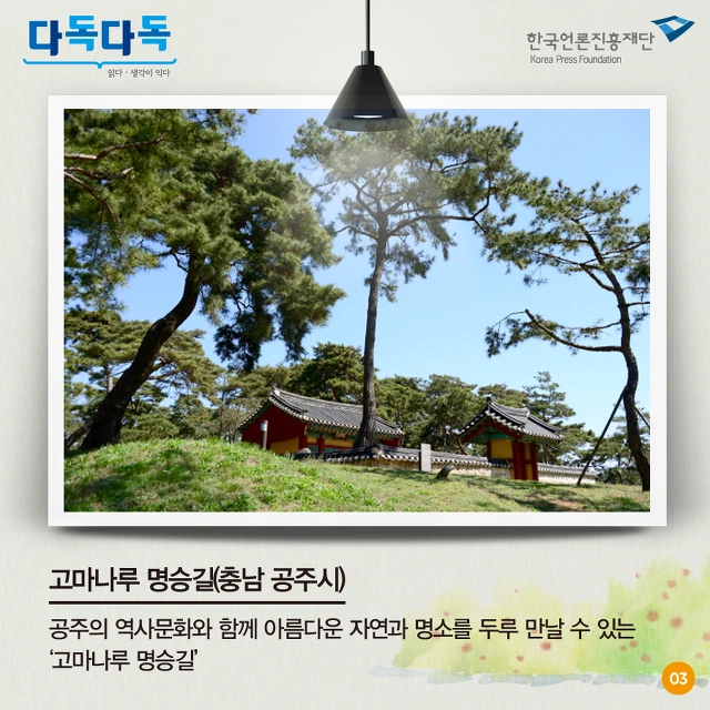 244E9B3557C4D99032F428