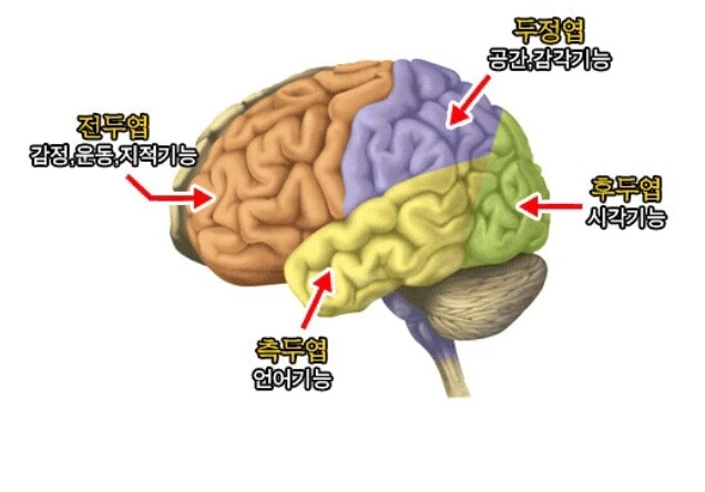 251D923E577EF75234EFCC