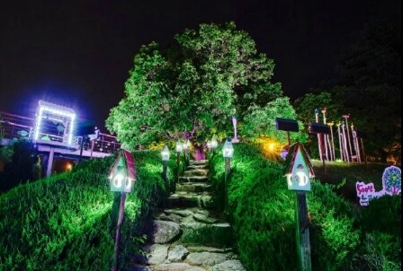 245D024F57A80A43030506