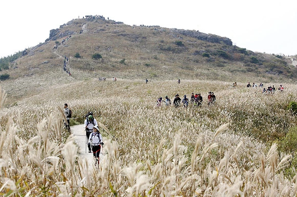 22307E3457FA941D2BE7A4