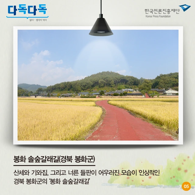 2560493557C4D99425CF19