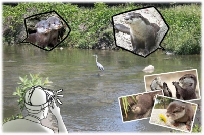 %EA%B7%B8%EB%A6%BC1.jpg?type=w580