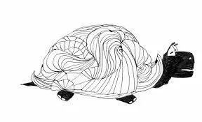 2551C04554A7BE221E0A66