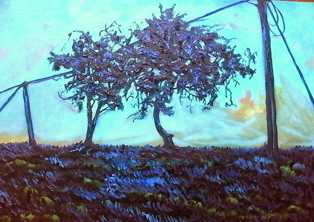 2226893B56EB78182E1A61