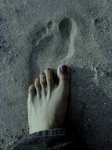 211EE43A52D943C4185655