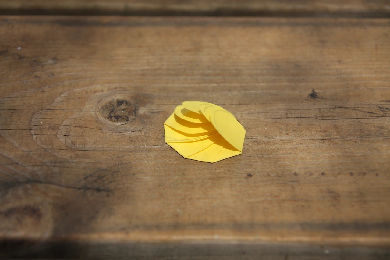 물위에서저절로피는종이꽃 02-3.JPG