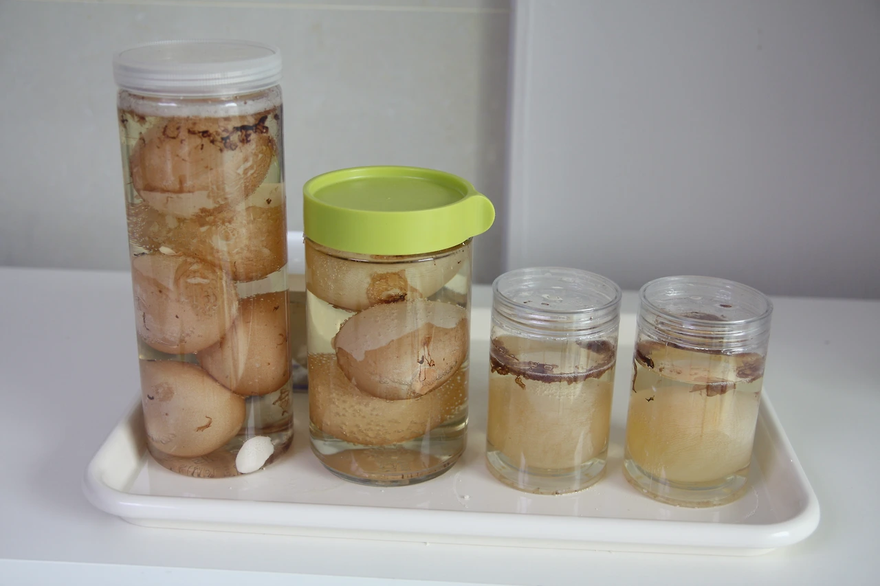 달걀탱탱볼 03 (1).JPG