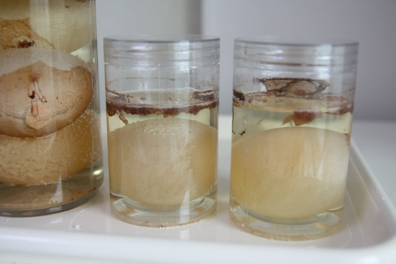 달걀탱탱볼 03 (2).JPG