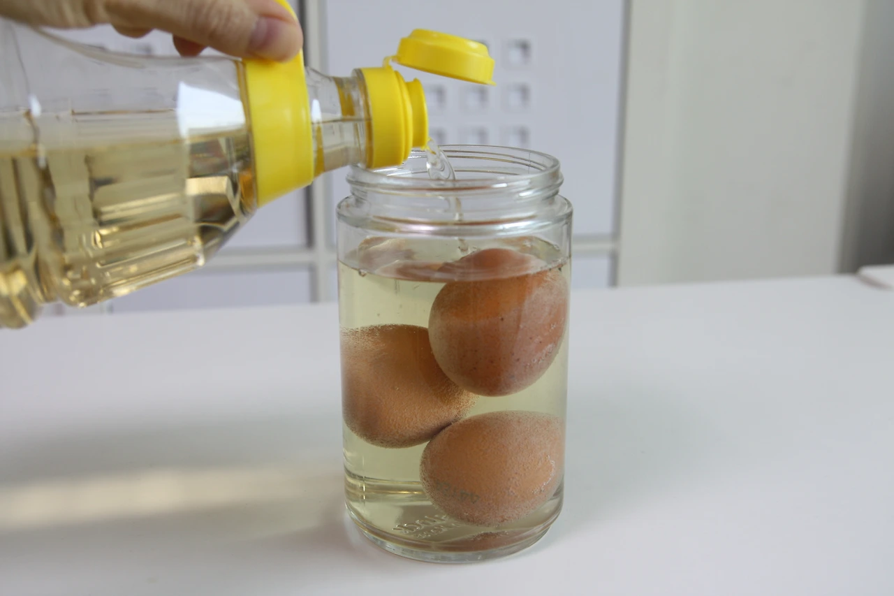 달걀탱탱볼 01 (3).JPG