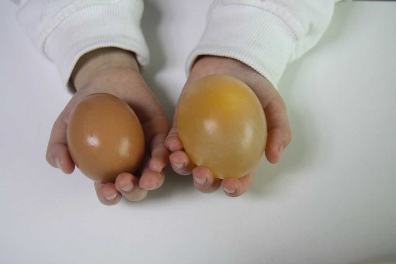 달걀탱탱볼 04 (2).JPG