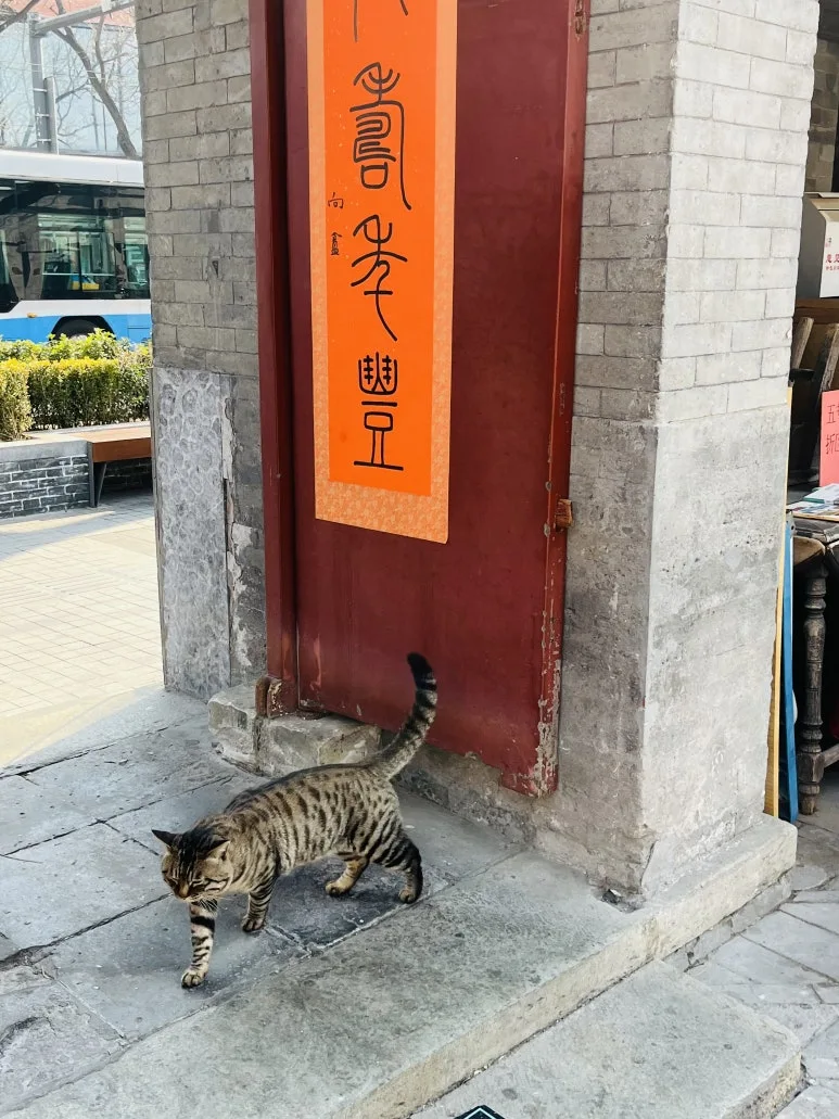 KakaoTalk_20250304_090420056_12.jpg?type=w773