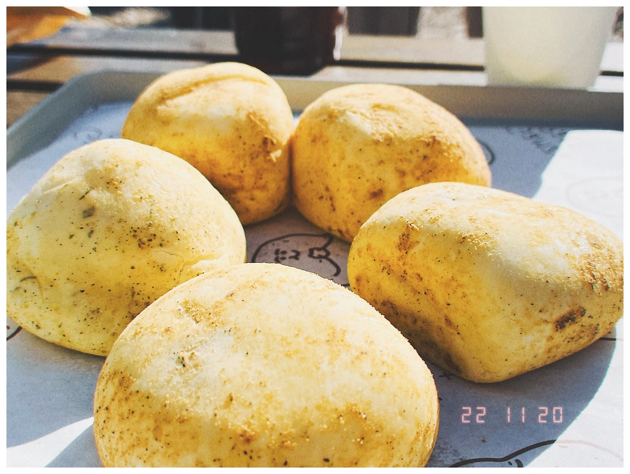 춘천 감자밭 (51).JPG