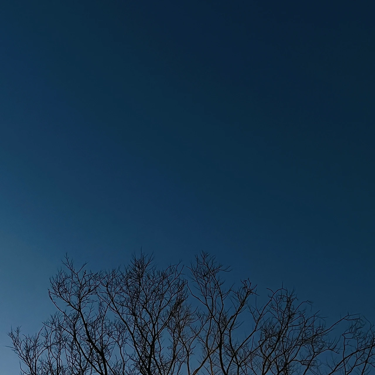 소노펠리체 (30).JPG