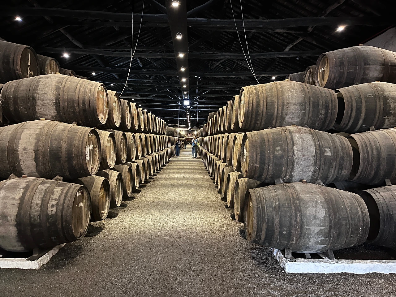 포르투여행 (33).JPG