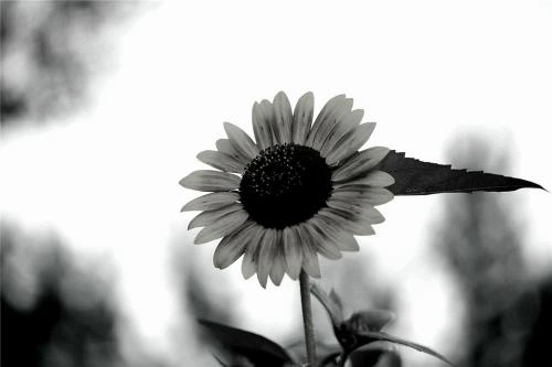 untitled.png?type=w1