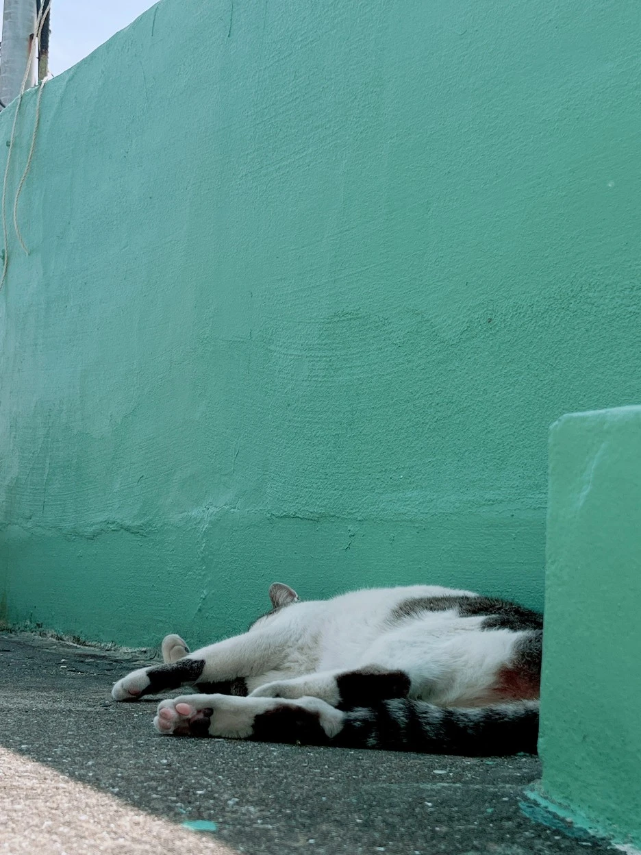 IMG_1199.JPG?type=w1