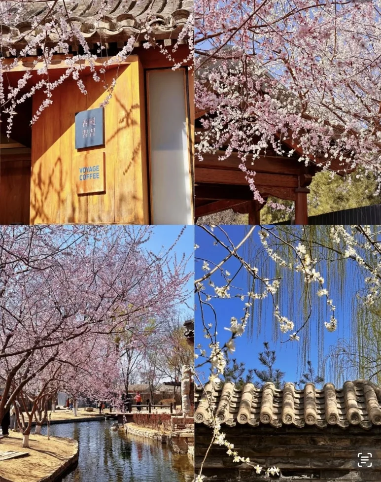 KakaoTalk_20250320_201316707.jpg?type=w773