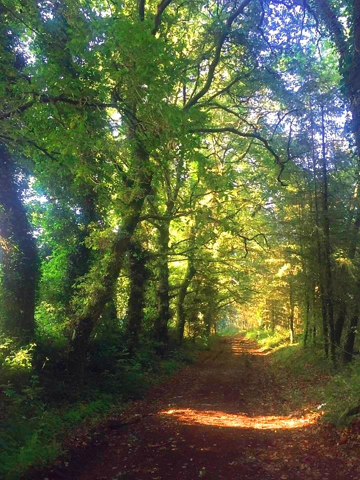 uc6-u2zt6fg-7-Vbl-KZ_pNvxahWuSHWFiHhXIjEUfBxYvf-H-RpXr8XINhDH447emK2Vc_kQ24rx4UZ7Ib85J16OSRFPaZl17m-aQINn0bAJROuGNFMp1ohZDGxZGwopxwnhgYF=s1600