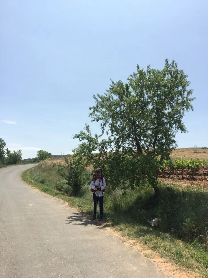 wBrakquUtzU4wvSudYba1aABdl3YNetoqGibj_CiQSkMZNfZ7vgDBcFsX4NY_ozPhcb3Yvx7p7iG6qse9vKZLMglgWI_pyADnWXw113DhhGYjVacFcKB9UmpCXbfFz9I8ifDzr8-=s1600