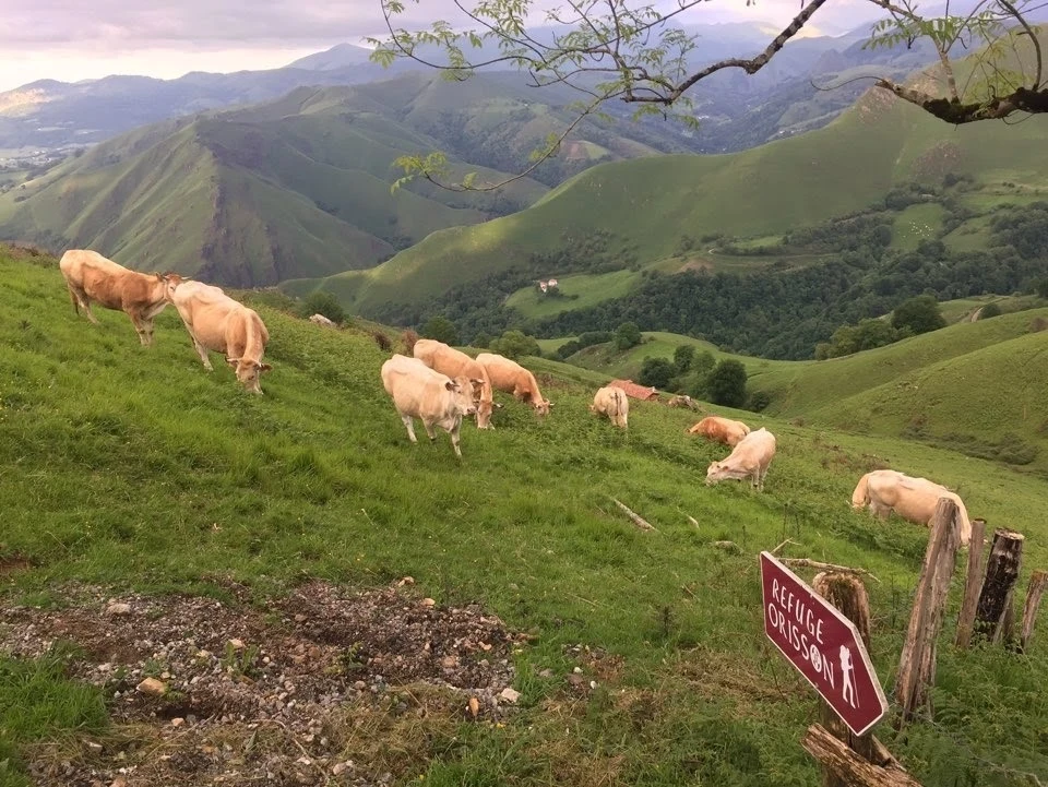 X2VoWie5dlvVGKNyoHfffT8b5ybmnOZ8UlQuIlJjK6idbwZtgi6pUhnO5eyvz2hluKz3_tzuf2m144awUvZy_DX3SdZItUissK6YeACFn0JAexDI0xSAhab5E84KvHed-t2izU6Q=s1600