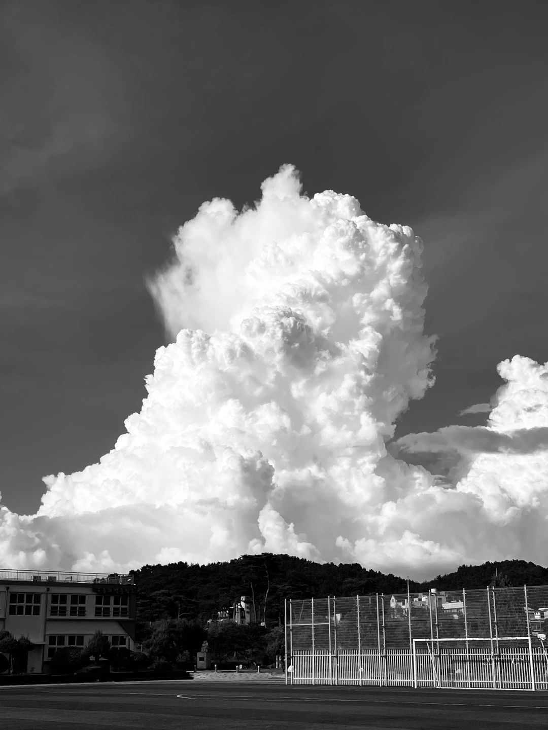 20240915 : 아이폰12미니 : 전남 고흥.jpeg