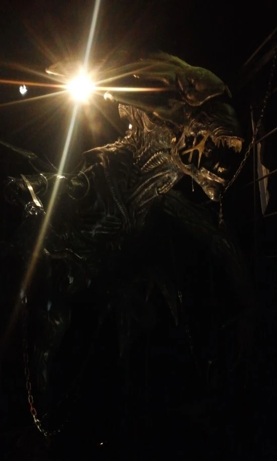 20150720_1805418.jpg?type=w2