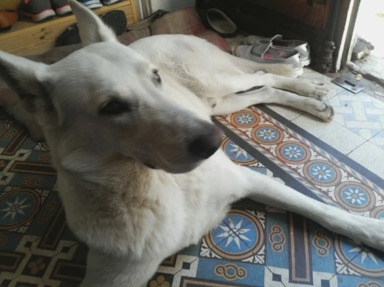 IMG_20150722_090202.jpg?type=w2