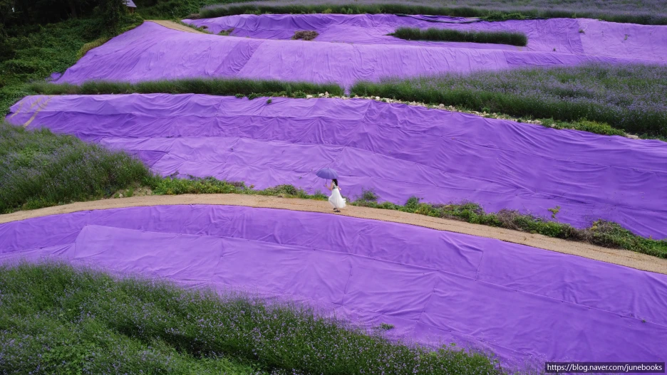 SE-f59213c0-e17e-42ad-a3b7-db0bb2fd0fde.png?type=w1