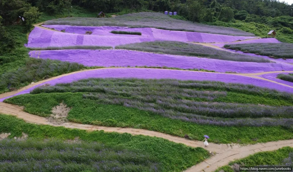 SE-dca29753-1612-4a80-82cf-38e1fb049010.jpg?type=w1