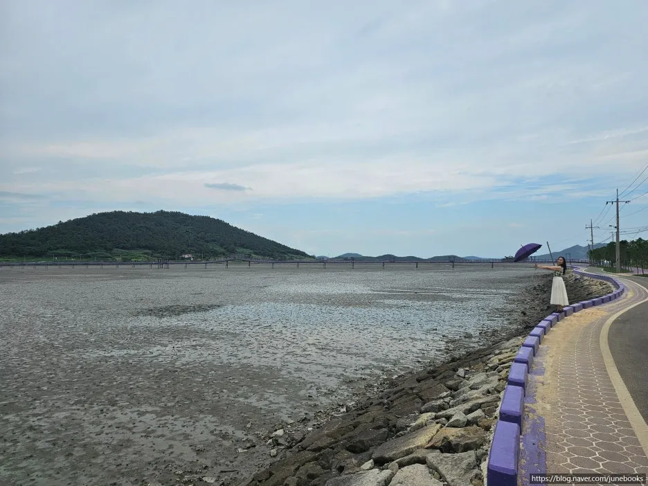 SE-00714e0d-863f-4d26-b7e9-fde3fce75b57.jpg?type=w1