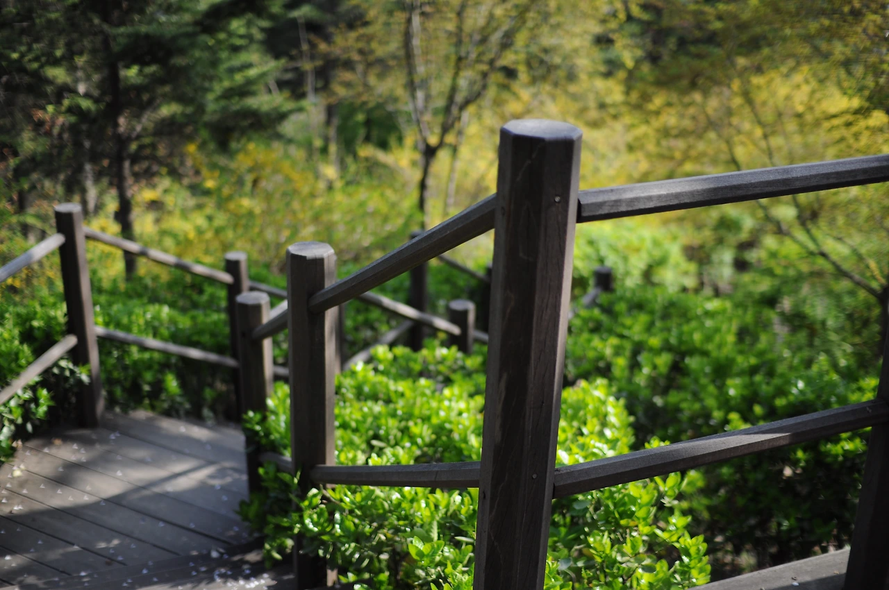 남산이야기 (11).JPG