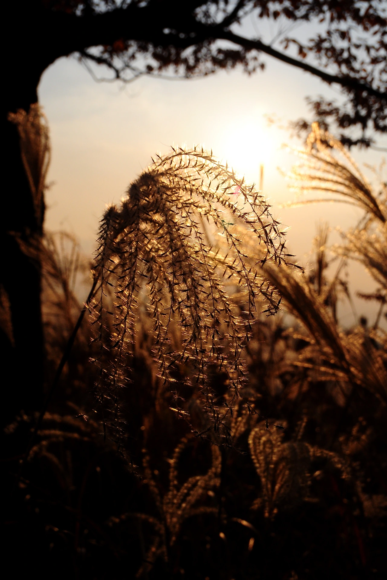 서울숲에서 (17).JPG