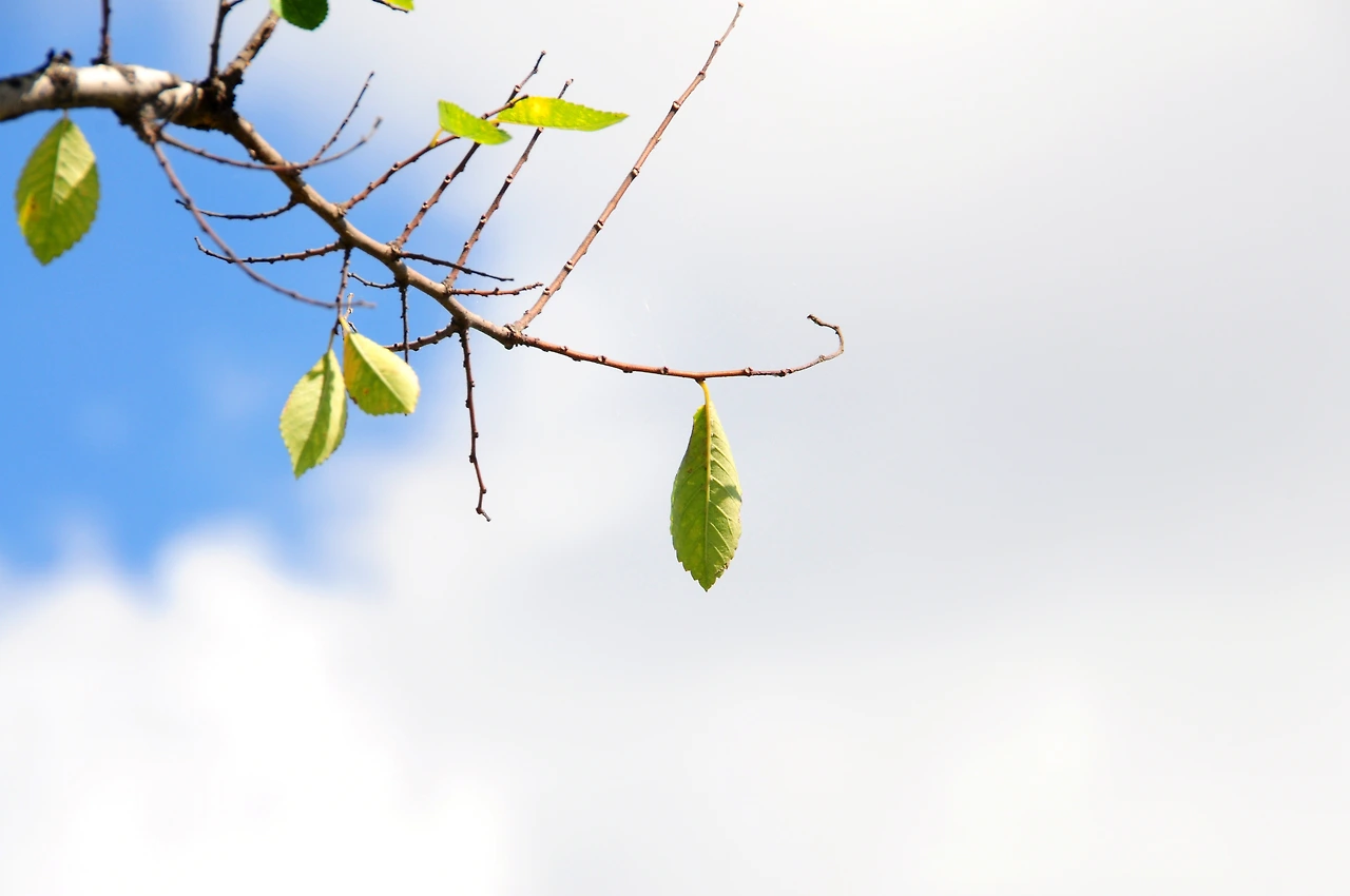 당산역4번 (8).JPG