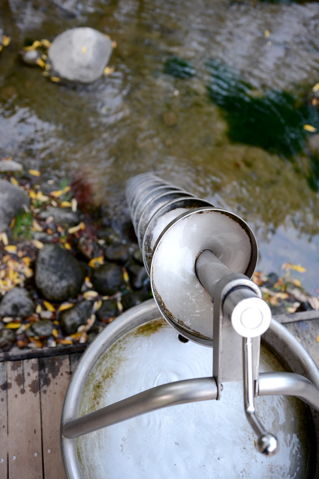 서울숲에서 (9).JPG