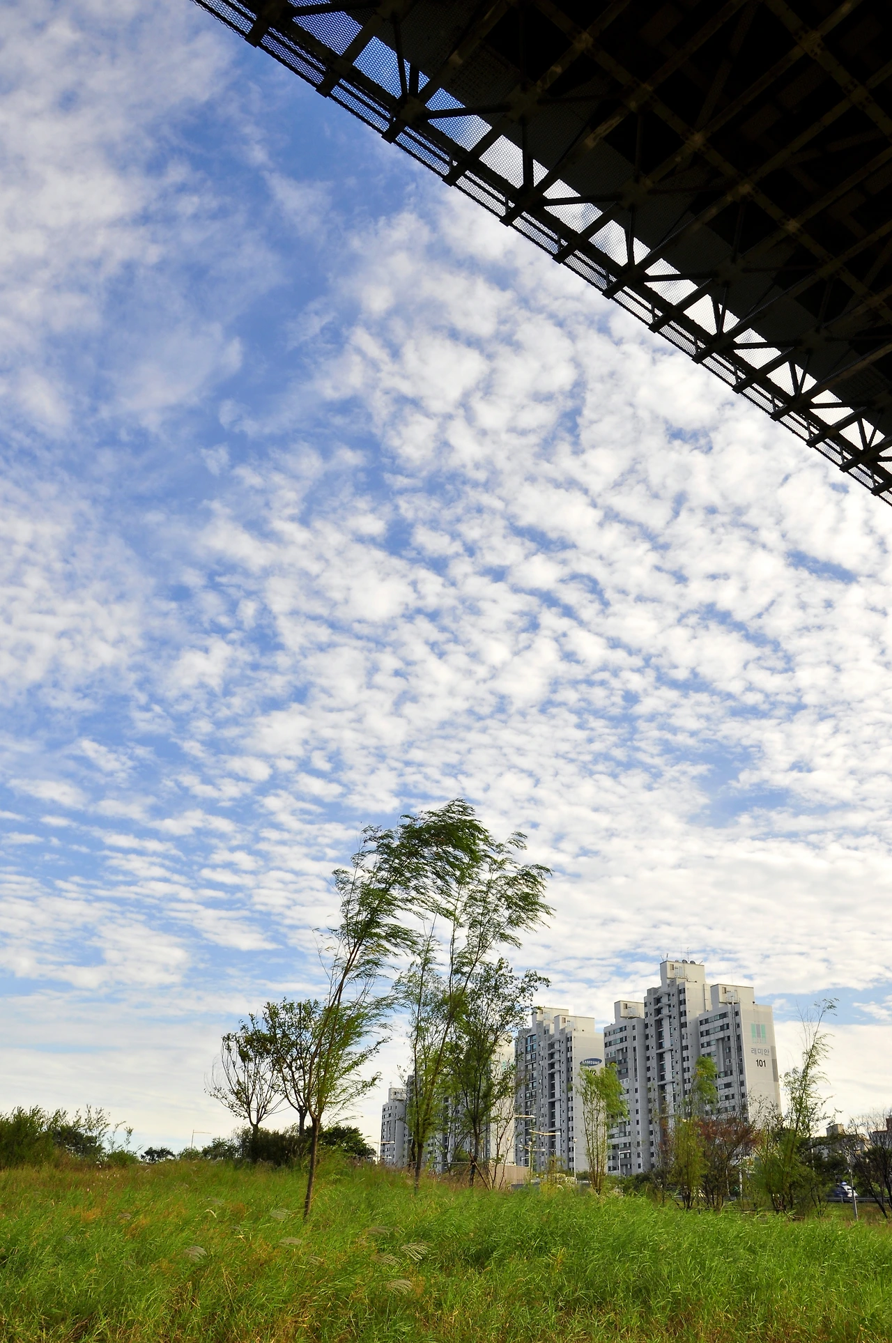 당산역4번 (12).JPG